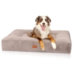 Knuffelwuff Orthopädisches Hundebett Mit Kuschelig Weichem Kaninchen Fellimitat Midland Beige/ Grau M-L -Hundebedarfsgeschäft 79531db3c06c2e84298f756d392dabc78bff0eb3 1412260 de DE 41afb63f6fe742bd03c3792bee5d6527f99af078m2GGKe