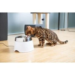 AniOne Edelstahl-Trinkbrunnen Trevi Ohne Ersatzfilter -Hundebedarfsgeschäft 7a066af048695bbfaeca0a855e5984fc3bf99d03 689fcf415d486ac05c07f2a4868b1d087d7a9ece