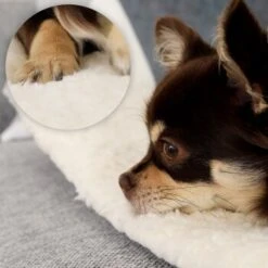 Lionto Selbstheizende Wärmematte Für Haustiere 14 Lionto Selbstheizende Wärmematte Für Haustiere -Hundebedarfsgeschäft 7b7478322070a88393ca3a5ce3bc6fc7dc82a6ad 1665986 de DE 051d4bf94c6c9b490452613e4a20003dcd71ba8cXGeo9D