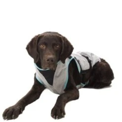 Trovet Suitical Kühlweste Dry Cool M -Hundebedarfsgeschäft 7c6cb463b1c403c67dd5b0537c226320cd47afee 1321386 de DE Trovet suitical 5 Kopie