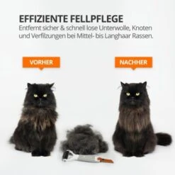 Schlitzohr Unterfellbürste Cookie -Hundebedarfsgeschäft 7c9a6b4d4701108812e37f79e4911a2b3943e166 1484683 de DE da5a8b0f8a08cc9c5fa3cec5e9d48b62e8262cdf4LvdCx