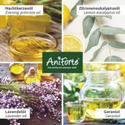 Aniforte Grasmilben-EX Spray Für Hunde 250ml -Hundebedarfsgeschäft 7d4f1a55842ce2d51a9b9f32674d2db94f29ba1b 1655909 de DE 13bbe2651517a00574d86841d6226b7aad68eefbkP9T6U