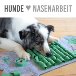 KaraLuna Schnüffelteppich Groß -Hundebedarfsgeschäft 7d9934ac89606a2235f1759191a56b106b907450 1407465 de DE 128b2d1b9646ded9b973043909bed3493e8c9eedHomDKx