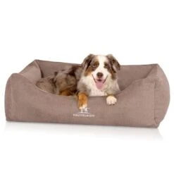Knuffelwuff Orthopädisches Hundebett Mit Fächer-Wendekissen Baltimore Beige M-L -Hundebedarfsgeschäft 7db3e1a0c07b06fbbffb9c499d68b8d29fe02a5d 1412225 de DE 96b0dc269c57c45d2a760eeab3915071ac28fc79GWqBkT