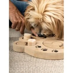 TrendPet Intelligenzspielzeug Intelli -Hundebedarfsgeschäft 7e1792e42e7959e202e8afb7ce14de252ec4329c 1260161 de DE 60f238b9de8120068f1a0ec6b608bba069b63accYVenr9