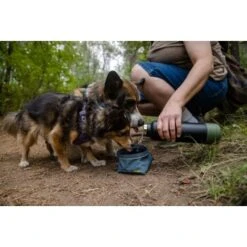 Ruffwear Great Basin™ Napf Schieferblau S 9 Ruffwear Great Basin™ Napf Schieferblau S -Hundebedarfsgeschäft 824b44ccf17c67c3dd43e5523941633c95efed85 1651551 de DE fad827ec7223895423979e3215d64ffaeae47c26HGRUuZ