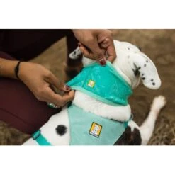Ruffwear Swamp Cooler™ Kühlendes Halstuch Blau/ Türkis XXS -Hundebedarfsgeschäft 84380b323534f706adb064c5f59bfe1f6f8adfcb 1639914 de DE 09b76313830836f68f333eee06c0a6bd83fbeec4Hirkw3