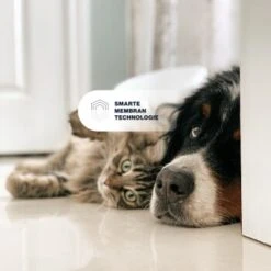 KYVETIN Spray Skin Repair Für Hunde Und Katzen -Hundebedarfsgeschäft 851cbfa418e315e47d7ba499ec62be71e3229497 1364195 de DE KyvetinSpray 7