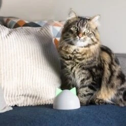 SureFlap Sure Petcare Hub -Hundebedarfsgeschäft 852b1bc3a8108075f76c20971c6ccd4d4ae1aeee 64f4b5749fc73b0bad1049a6b67d5e53fa50ba07