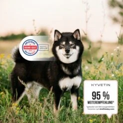 KYVETIN Spray Skin Repair Für Hunde Und Katzen -Hundebedarfsgeschäft 855eb3c7fca7c841451cde094ef9ccbea4bfbca8 1364195 de DE KyvetinSpray 5