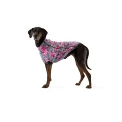 Ruffwear Climate Changer™ Fleece-Jacke Für Hunde Andere M -Hundebedarfsgeschäft 86e7c61fbb59c42e6a9952c35792683bfe925ee1 1369650 de DE 0f7eaefedef9dc647cc2252d60c10845d7c68c4e7jOb8s