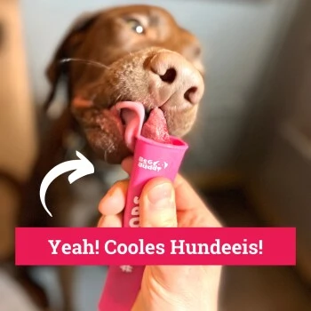 BeG Buddy Hundeeis Am Stiel 6x 8 BeG Buddy Hundeeis Am Stiel 6x – Bild 6