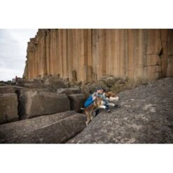 Ruffwear Grip Trex™ Hundeschuhe -Hundebedarfsgeschäft 8a04129089dd0c034c3440ca2f5a059543497a42 1363993 de DE 62eaf59e4c30b32a0494684f66bc46a3e77f909dJ6uyPm