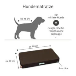 Doctor Bark Hundematratze Braun M 14 Doctor Bark Hundematratze Braun M -Hundebedarfsgeschäft 8abe0340ce832664c2722d96d1e321211e8fd65b 1658174 de DE ef448a38ca6ae1689b1395db88153ebc88580afayC3rpx