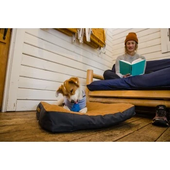 Ruffwear Gnawt-a-Cone™ Spielzeug Gelb 9 Ruffwear Gnawt-a-Cone™ Spielzeug Gelb – Bild 7