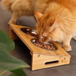 Lionto Futterstation Mit Bambusgestell 9 Lionto Futterstation Mit Bambusgestell -Hundebedarfsgeschäft 8c56991d507e18b3df4a2f4045dbd93cd3bd9353 1665980 de DE aa6482f6e46fc6375e62da8010ac0599c0ca4960aJFeP6