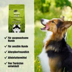 Eat Small EatSmall 2kg Maxi Active Trockenfutter 14 Eat Small EatSmall 2kg Maxi Active Trockenfutter -Hundebedarfsgeschäft 8ce5231807dbcfa11bfebbb58ab3376db975810f 1450723 de DE 045556f8e417da90be61f538db133a32cf0ddbabSrtas7