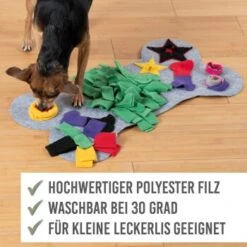 KaraLuna Schnüffelteppich Klein -Hundebedarfsgeschäft 8cffd1f5d7d792260e4d328e3ce1b0165af84c9a 1407493 de DE 8b411633f86f4b631351b3ff8403ed23d84f6b458gwrLG