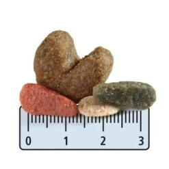 Hundebedarfsgeschäft -Hundebedarfsgeschäft 8d38af21c54ccafe109a557c00c3ae305e67a486 1001467003 de DE fgrew