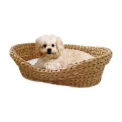 Silvio Design Tierbett Wasserhyazinthe -Hundebedarfsgeschäft 8e75e609b71117daf9439570bf726f662feec528 7bf5012366bc2a35e7c63234741615e997e3b456