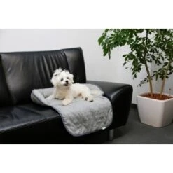 Kerbl Couchkissen Emalia Grau 60 Cm, 40 Cm, 12 Cm -Hundebedarfsgeschäft 8ea64fb8bf622036e0063747dc7192c01fd54817 1363655 de DE kerbl schlafpl 2