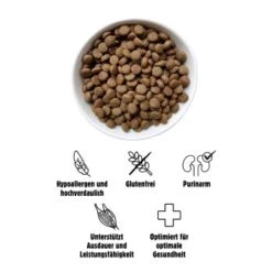 Eat Small EatSmall 2x10kg Active Trockenfutter -Hundebedarfsgeschäft 8eb87ed00fa368d8fa9581d309958c1852cc797b 1472610 de DE 3afc6319dab2229d23c78f66619a85133d5150ff96lIxh