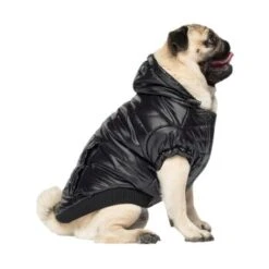 Canada Pooch Glänzende Pufferweste XXS 9 Canada Pooch Glänzende Pufferweste XXS -Hundebedarfsgeschäft 8ec11177ec9f86d200ff22bc3e0c234ecff91e7e dfb5b396c833a1ace7625fc5796632bee13eda68