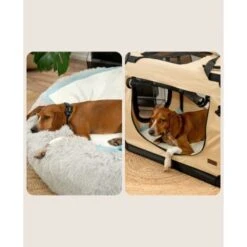 Lionto Welpenunterlage 6-lagig L -Hundebedarfsgeschäft 8f14592f6d058f0fb4fc5be2eb6798f229ed3383 1665927 de DE d5d55018ac189c4f0ee0cfe3cc801e9b0b08c612l1cJJF