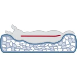 Trixie Vital Bett Noah 50 Cm, 50 Cm, 17 Cm -Hundebedarfsgeschäft 8f80fa8eb5a48591717c668bd46914fa7efa55b1 1340492 de DE 1d7984e7a0780c7270c71e6eea10dd366c3aac48Kr03jO