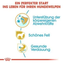 ROYAL CANIN Yorkshire Terrier Puppy 1,5 Kg 18 ROYAL CANIN Yorkshire Terrier Puppy 1,5 Kg -Hundebedarfsgeschäft 900669fdb2a03d007f9e4a13ada3e718bb10bd52 f1a1aa71333fcd4eb592993ae4f8ec88c5bd9347