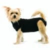 Trovet Hundebody Recovery Suit Schwarz XXS -Hundebedarfsgeschäft 92d14012c332f0a5a46b2a7887d2e493de373061 bbc558c1bdf8e1bee3228f5e0e39819075b810aa