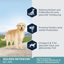 EUKANUBA Breed Specific Golden Retriever 12 Kg -Hundebedarfsgeschäft 93835751c2540e664fdb559735421479521b3a8c 4a6f1ea9cd1f2216ab5b192d19420793b787e2e0