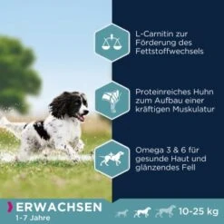 EUKANUBA Active Adult Medium Breed Mit Huhn 15 Kg -Hundebedarfsgeschäft 974a6b86f2565ad809ee31d93823535018b6d34e 8710255119786 2