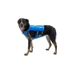 Ruffwear Trail Runner™ Weste Blau XS -Hundebedarfsgeschäft 98442c3f4ada02dc38bbe918031392b2ba7e1943 1639640 de DE 57b978069b1aa95a705eb1af32811decb2e9cfecAOoih7