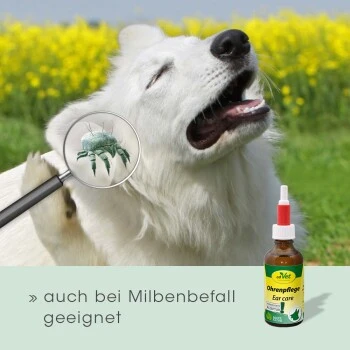 CdVet Ohrenpflege 50ml 9 CdVet Ohrenpflege 50ml – Bild 7