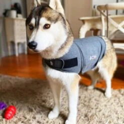 Thundershirt Beruhigungsweste Grau XS 21 Thundershirt Beruhigungsweste Grau XS -Hundebedarfsgeschäft 9a1e301e33f1361e91f7c9989e135033c3825116 854880001141.PT09