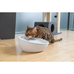 AniOne Keramik-Trinkbrunnen Waterfall Weiß Ohne Ersatzfilter 12 AniOne Keramik-Trinkbrunnen Waterfall Weiß Ohne Ersatzfilter -Hundebedarfsgeschäft 9ab78e65ebaf72b76c537cd735c5a7cd6cd4d027 a897eca6393f48ff54c98954a2b189a96196cfbd