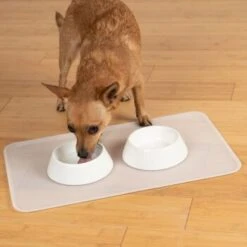 KaraLuna Basic Napfunterlage Transparent L -Hundebedarfsgeschäft 9ba40d7c74ee8125e59b22c7e83e8b1c6e9b7d62 1407477 de DE 14497c23a79b7136237df13f9c32b5ed84fd5ff0LsA92E