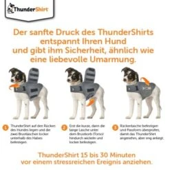 Thundershirt Beruhigungsweste Grau XS 17 Thundershirt Beruhigungsweste Grau XS -Hundebedarfsgeschäft 9ff088bccc5f7d02926fc2c1845a1030d5e07bc3 1102942 5