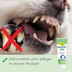 DentaVet Gel 35g 12 DentaVet Gel 35g -Hundebedarfsgeschäft a0d4d3bd9437af6bafea1b3b7a3c5a28814220c7 1249039 de DE 4ce29d2ba67554731965330067a7d46dd701a488pV84j2