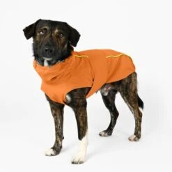 THE DOG IDEA Regenmantel Duke Orange XXXS -Hundebedarfsgeschäft a1af009970fbe0d49b23b55aae3478442e9eb5e6 1473000 de DE e975935bd14ae10e3cbf4709cc9d05a6879844e2TUSiIw