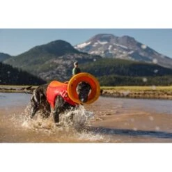 Ruffwear Hydro Plane™ Spielzeug M Orange -Hundebedarfsgeschäft a3976cd8510df92d7b86f42c35fd984bc0313421 1364300 de DE 7e1ea9adae25d55e79a8aed2cc6dc797ac8d0d03R1qvUL