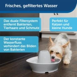 PetSafe Trinkbrunnen Streamside 11 PetSafe Trinkbrunnen Streamside -Hundebedarfsgeschäft a4863bb01c9defc206f3abadb7407b11767619bd 1423698 de DE d7c376710365041814bb26a7ca9d55a6a9011fd8Nm0GoI
