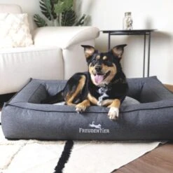 Freudentier Orthopädisches Box Hundebett Siebenschläfer M -Hundebedarfsgeschäft a5e52a27b6efa7cff67967197f1e12ef63c601a3 1477909 de DE 0e3346775cbe91d680a139b48e2958643f277017Xq6L3c