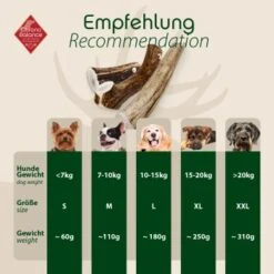 ChronoBalance Geweih Ganz (XXL) 2er Paket -Hundebedarfsgeschäft a89e043e81240aec61a556f9800c9e6e08c31036 1418694 de DE 4d92c5e784cdd8d6b1d665763cb1e2f4941e0be4UNpsQ0