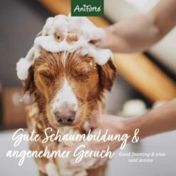 Aniforte Neemöl Shampoo 500ml -Hundebedarfsgeschäft a90db96b15d0ad967d6afda850e88c91807f656a 1429322 de DE 5924405aa7a22e967313eca5b199c19808b03d56WFJfRI