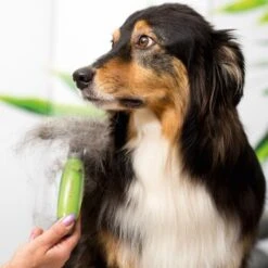 Moser Unterwollrechen -Hundebedarfsgeschäft a9457afef8cc9854b1cc05428060e6aca1aa62d7 f209ef3f70da272484eca7394d5156f09925de7d