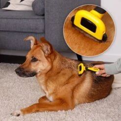 Lionto Haustierbürste, Zupfbürste -Hundebedarfsgeschäft a99a14a7250fd4e501ec529126934f0a8e973480 1665908 de DE 47ac745e0253c5bc3fba7e69b1681c237a8f3a97orElkU