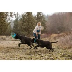 Ruffwear Pacific Ring™ Spielzeug Blau/ Türkis -Hundebedarfsgeschäft aaae4ecd59db92ffe25787fd56b7315d42974ecb 1444351 de DE f747ae339bc2beff156a317c539c1237b854177bd9ZZMN