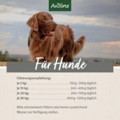 Aniforte WildForest Wild Mit Zucchini 2,4 Kg -Hundebedarfsgeschäft aba8ec978465467750e767e9b30fa291638a9552 1422182 de DE ecf8c646fa9f7a73ce2de360e52f7434941d6424Z4d1ih